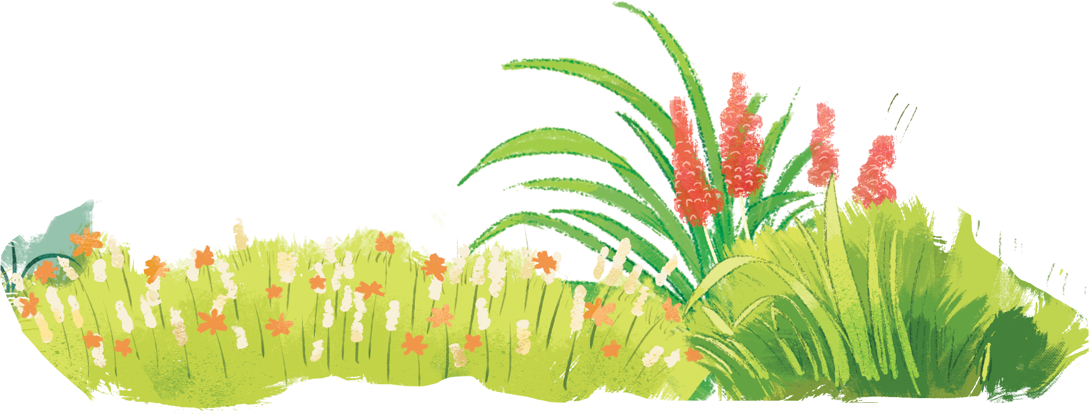 Vườn hoa sắc màu